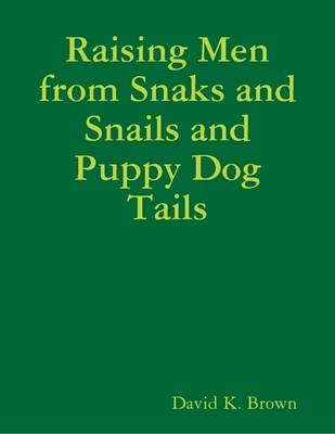 Book cover for Raising Men from Snaks and Snails and Puppy Dog Tails