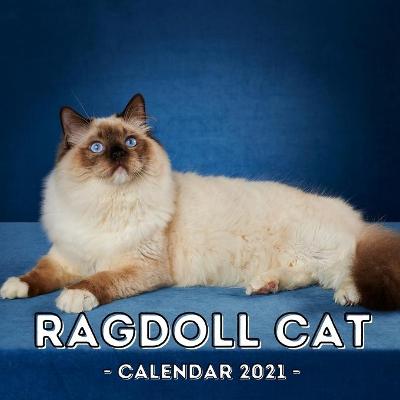 Cover of Ragdoll Cat