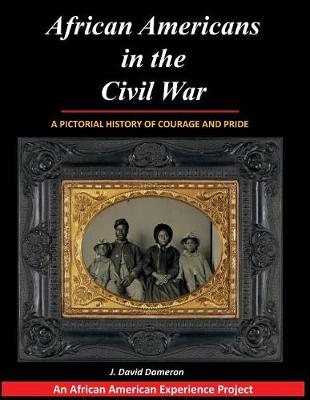 Book cover for African Americans in the Civil War