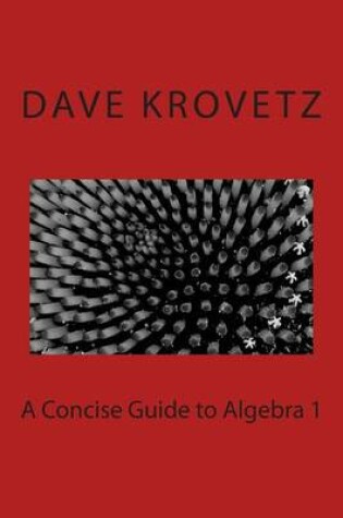 Cover of A Concise Guide to Algebra 1