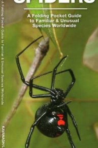 Cover of Spiders