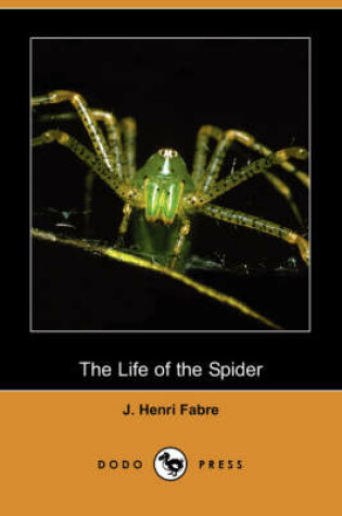 Cover of The Life of the Spider (Dodo Press)