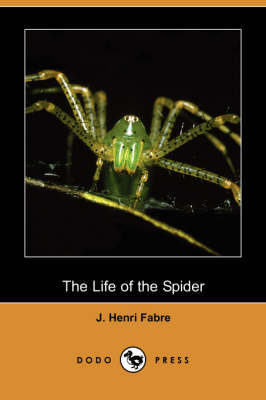 Book cover for The Life of the Spider (Dodo Press)