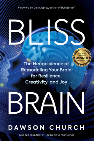 Book cover for Bliss Brain