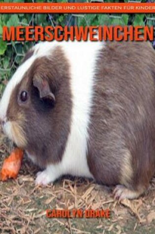 Cover of Meerschweinchen