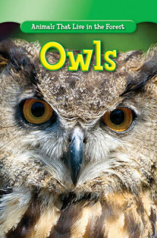 Cover of Owls