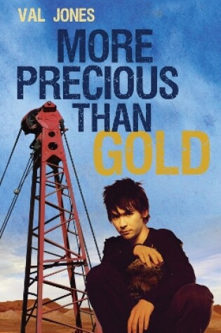 Cover of More Precious Than Gold