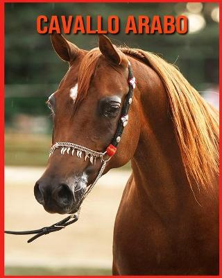 Book cover for Cavallo Arabo