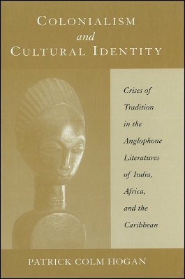 Cover of Colonialism and Cultural Identity