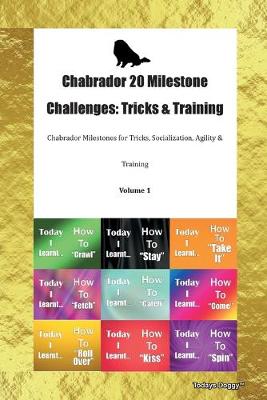 Book cover for Chabrador 20 Milestone Challenges