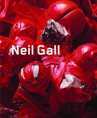 Book cover for Neil Gall: Works 2007-2011