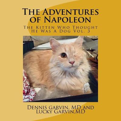 Book cover for The Adventures of Napoleon