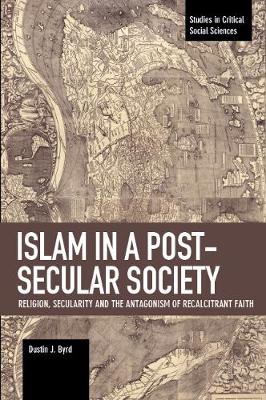 Cover of Islam in a Post-Secular Society