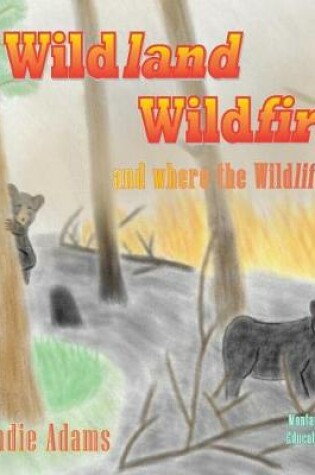 Cover of Wildland Wildfires - Test