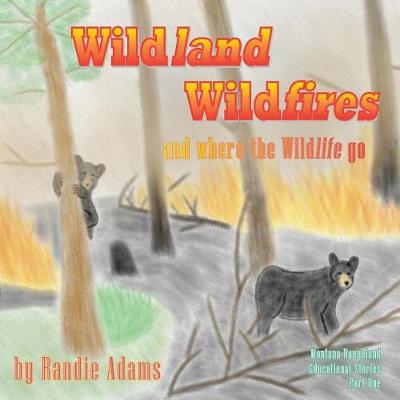 Cover of Wildland Wildfires - Test