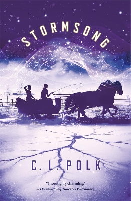Book cover for Stormsong