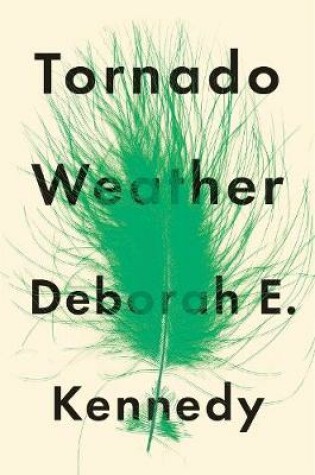 Cover of Tornado Weather