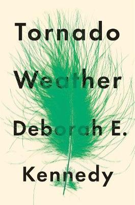 Book cover for Tornado Weather