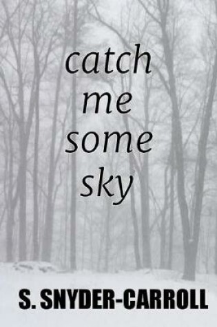 Cover of catch me some sky