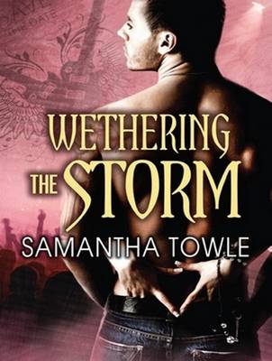 Book cover for Wethering The Storm