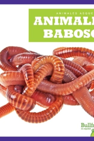 Cover of Animales Babosos (Slimy Animals)