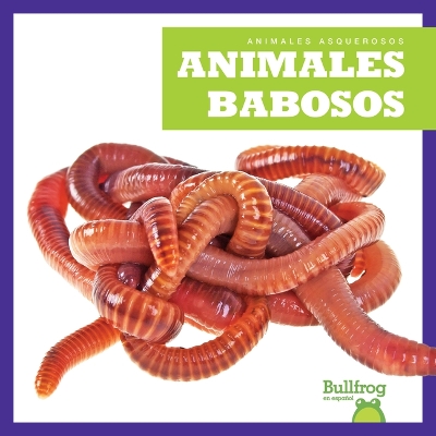 Book cover for Animales Babosos (Slimy Animals)