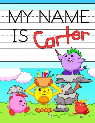 Book cover for My Name is Carter