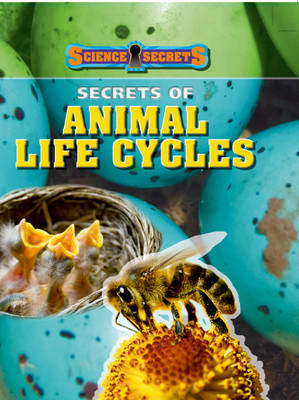 Book cover for Secrets of Animal Life Cycles