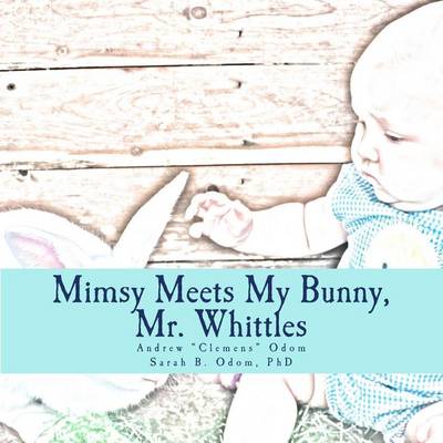 Book cover for Mimsy Meets My Bunny, Mr. Whittle