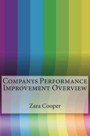Cover of Companys Performance Improvement Overview