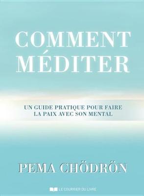 Book cover for Comment Mediter