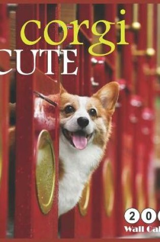 Cover of corgi cute