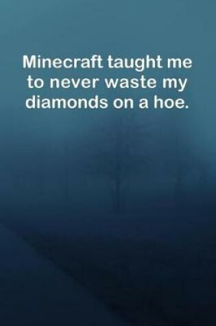 Cover of Minecraft taught me to never waste my diamonds on a hoe