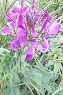 Cover of Journal Pretty Purple Petals