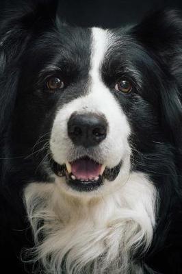 Book cover for Border Collie Portrait Journal