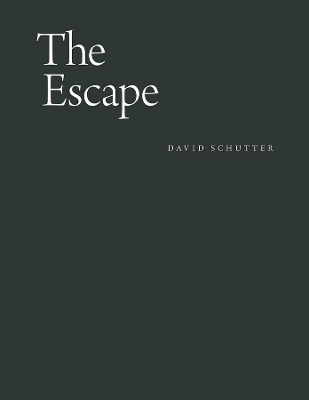 Book cover for The Escape