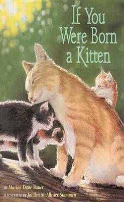 Book cover for If You Were Born a Kitten