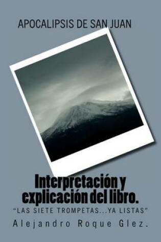 Cover of Apocalipsis de San Juan. Interpretacion y Explicacion del Libro.