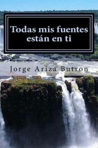 Cover of Todas MIS Fuentes Estan En Ti