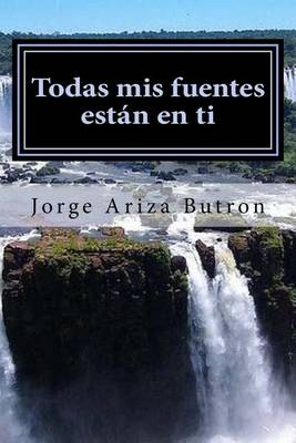 Book cover for Todas MIS Fuentes Estan En Ti