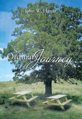 Book cover for No Ordinary Journey