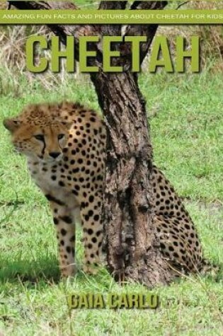 Cover of Cheetah