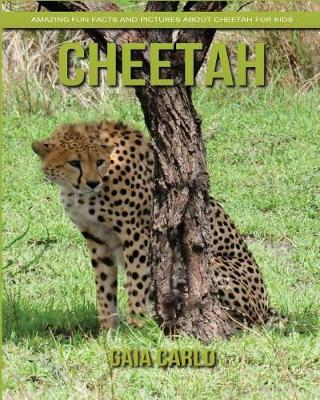 Book cover for Cheetah