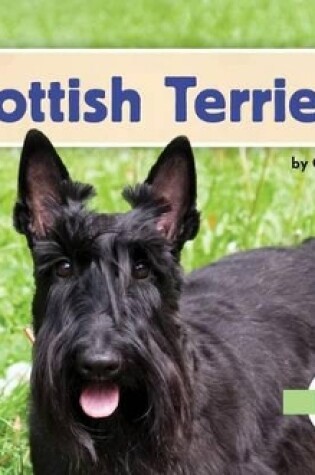 Cover of Scottish Terriers