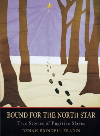 Book cover for Bound for the North Star