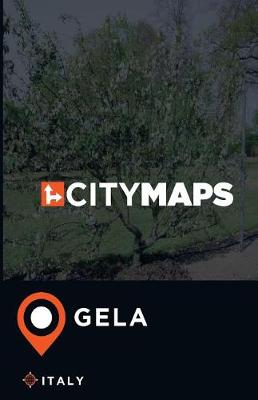 Book cover for City Maps Gela Italy