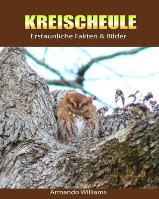 Book cover for Kreischeule