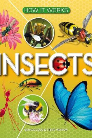 Cover of How It Works: Insects