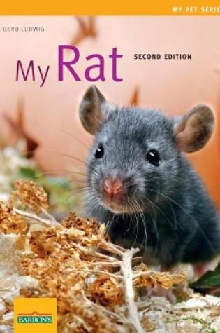 Cover of My Rat