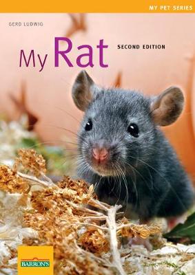 Book cover for My Rat